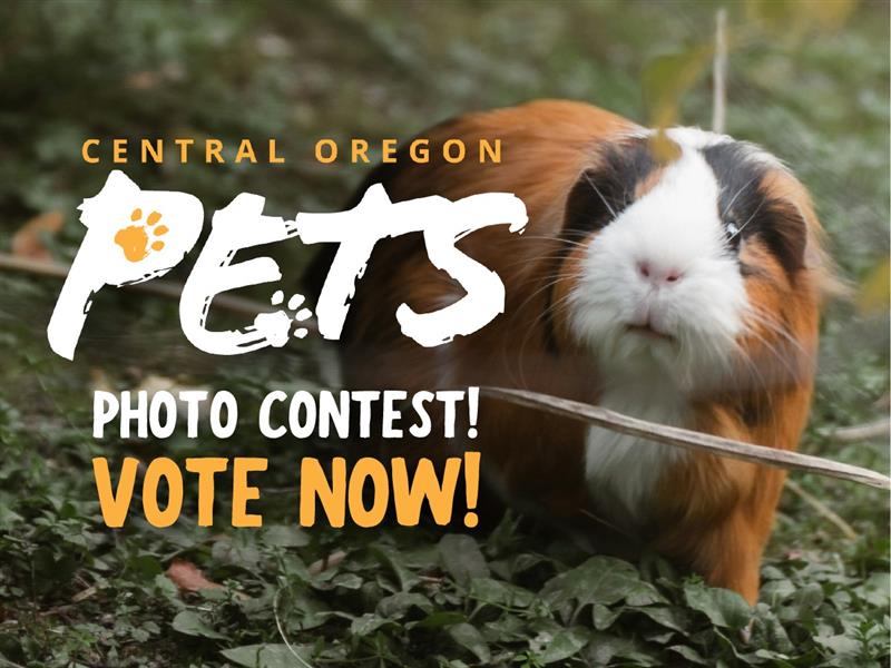 CO Pets Photo Contest - Vote Now! - The Source - Bend, Oregon