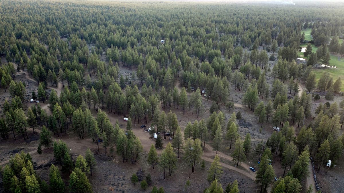 ‘I Lost It All’: Residents of Bend Homeless Camp Say Forest Service Blew Off Calls, Appointments to Reclaim Lost Property - The Source - Bend, Oregon