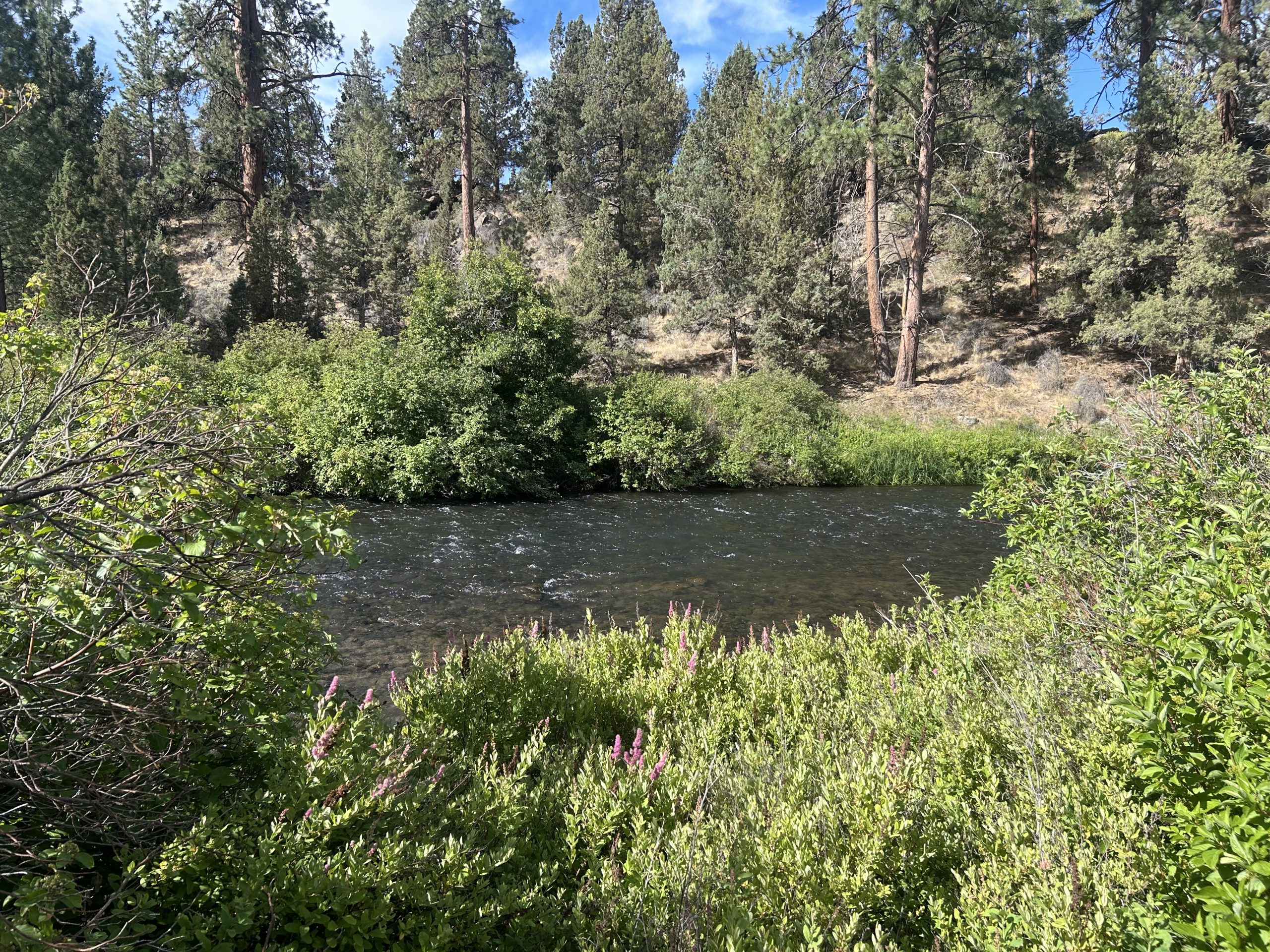 Volunteers Roll Up Their Sleeves for the Deschutes - The Source - Bend, Oregon